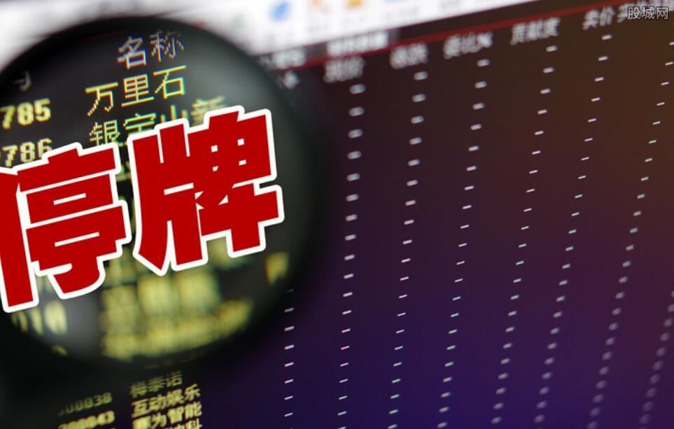股票停牌原因是什么
