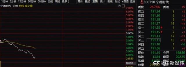 宁德时代跳水大跌