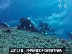 帕劳潜水失联游客在水里泡近30小时 全员获救