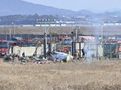 专家：韩国空难或因机组未放下起落架 鸟击引发操作失误