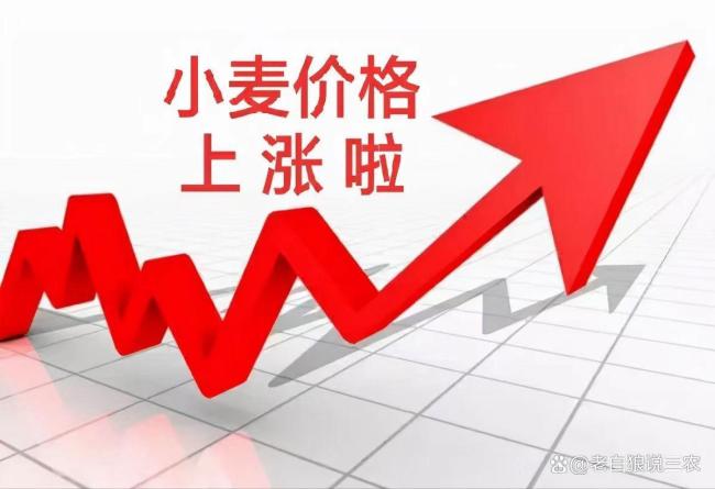 小麦又开始&ldquo;变卦&rdquo;！马上就涨价