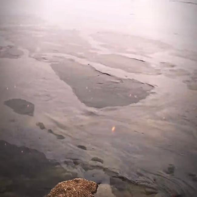 祁阳水面漂浮物是水华现象