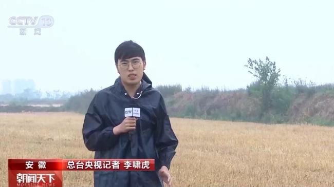 小麦颗粒归仓有了最强大脑 精准气象助力抢收