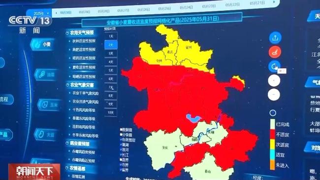 小麦颗粒归仓有了最强大脑 精准气象助力抢收