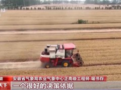 小麦颗粒归仓有了最强大脑 精准气象助力抢收