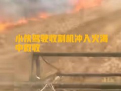 男子开着收割机冲进起火麦田抢收 新时代青年的责任担当