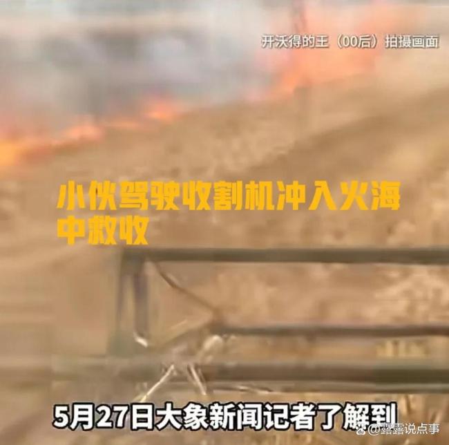 男子开着收割机冲进起火麦田抢收