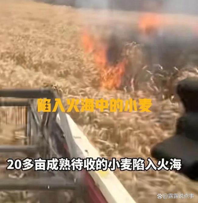 男子开着收割机冲进起火麦田抢收 新时代青年的责任担当