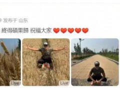 任达华回山东老家收麦子 究竟真相是什么？