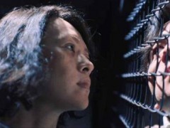 《酱园弄》堆砌明星救不了中国电影 叙事乏力难掩星光