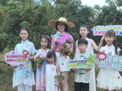 惠东荔枝果园上演甜蜜代言秀 小小文明实践特派员助力