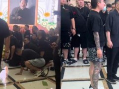 曝杨少华儿子悲伤过度从灵堂被抬出 究竟真相是什么？