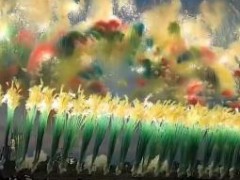 世运会烟花秀太美了 究竟真相是什么？