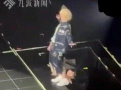 鹿晗演唱会差点摔下升降台 究竟真相是什么？