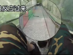 游客景区玩滑梯时 有蛇“从天而降” 惊险一幕引发关注