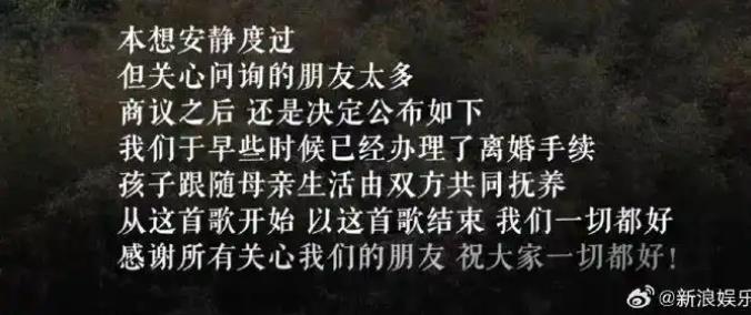 李亚鹏与海哈金喜离婚