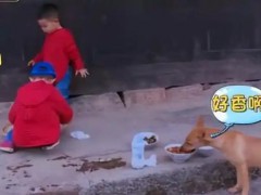 爸爸去哪儿4》9年未解之谜破案了 背后真相让人惊愕！