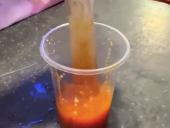 泰国街头的活鱿鱼小吃 网友：一种很残忍的进食方式