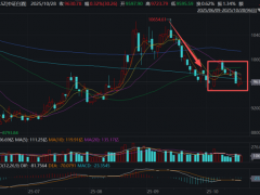 白酒无视茅台利空 拐点来了吗 预期管理下的反弹