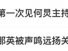 那英质疑票数作假 何炅差点没救回场 背后真相让人惊愕！