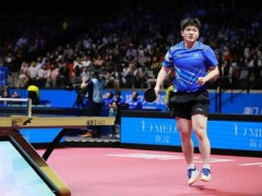 樊振东全运会两连胜晋级男单8强 展现强劲实力