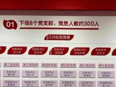 三只松鼠花名使用是否该有边界 企业文化与党建庄重性的平衡