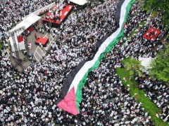 英法爆发大规模游行声援巴勒斯坦 和平与仇恨的界限模糊