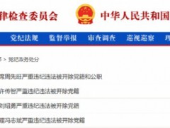 新年首个工作日 中纪委连打4“虎” 反腐力度不减