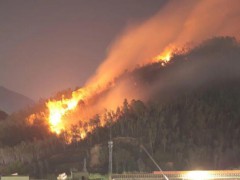 深圳坪山突发山火 消防紧急扑救中