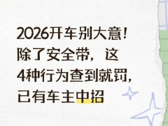 乘客没系安全带车主被罚 交警解释 后排也要系安全带