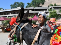 驴1天片酬500元 600年古村全员演技派  背后真相让人惊愕！