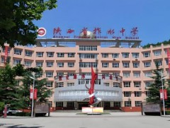 高一学生带手机被停课一个月 家长质疑处罚过重