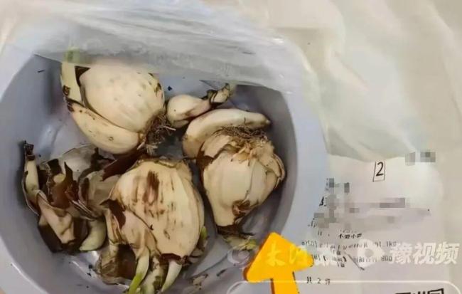 媒体评盒马误送水仙球致祖孙俩中毒