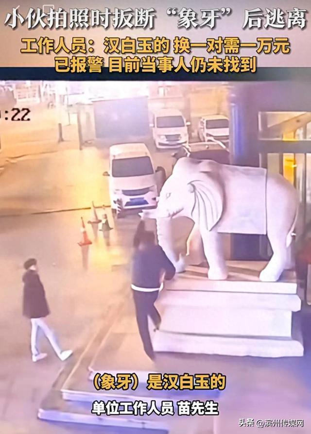 男子拍照扳断&ldquo;象牙&rdquo; 总造价1万元
