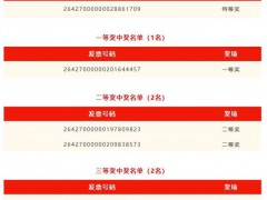 武汉女子用159元发票抽中一辆汽车 意外之喜引发热议