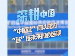 “中国链”何以成为链接未来的必选项 外资热议创新优势