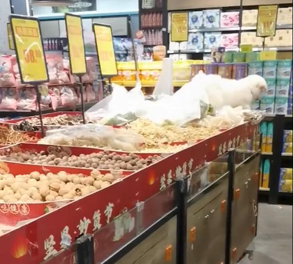 女子将狗放在散装货架 超市下架货品