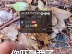 男子采菌没看见旁边的五步蛇 散光差点遇险