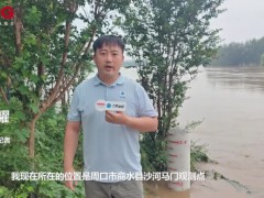 记者实探河南周口商水马门观测点 水位变化实时监测中