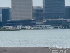 记者实地探访郑州北龙湖“大鱼” 巨型鱼类引发热议