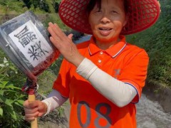 景区“泼水阿姨”走红 挥粪瓢泼游客 农活技能成互动亮点