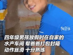 四年级男孩车间熟练打包 究竟真相是什么？