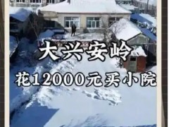 花一万二买房 年轻人去大兴安岭隐居 究竟真相是什么？
